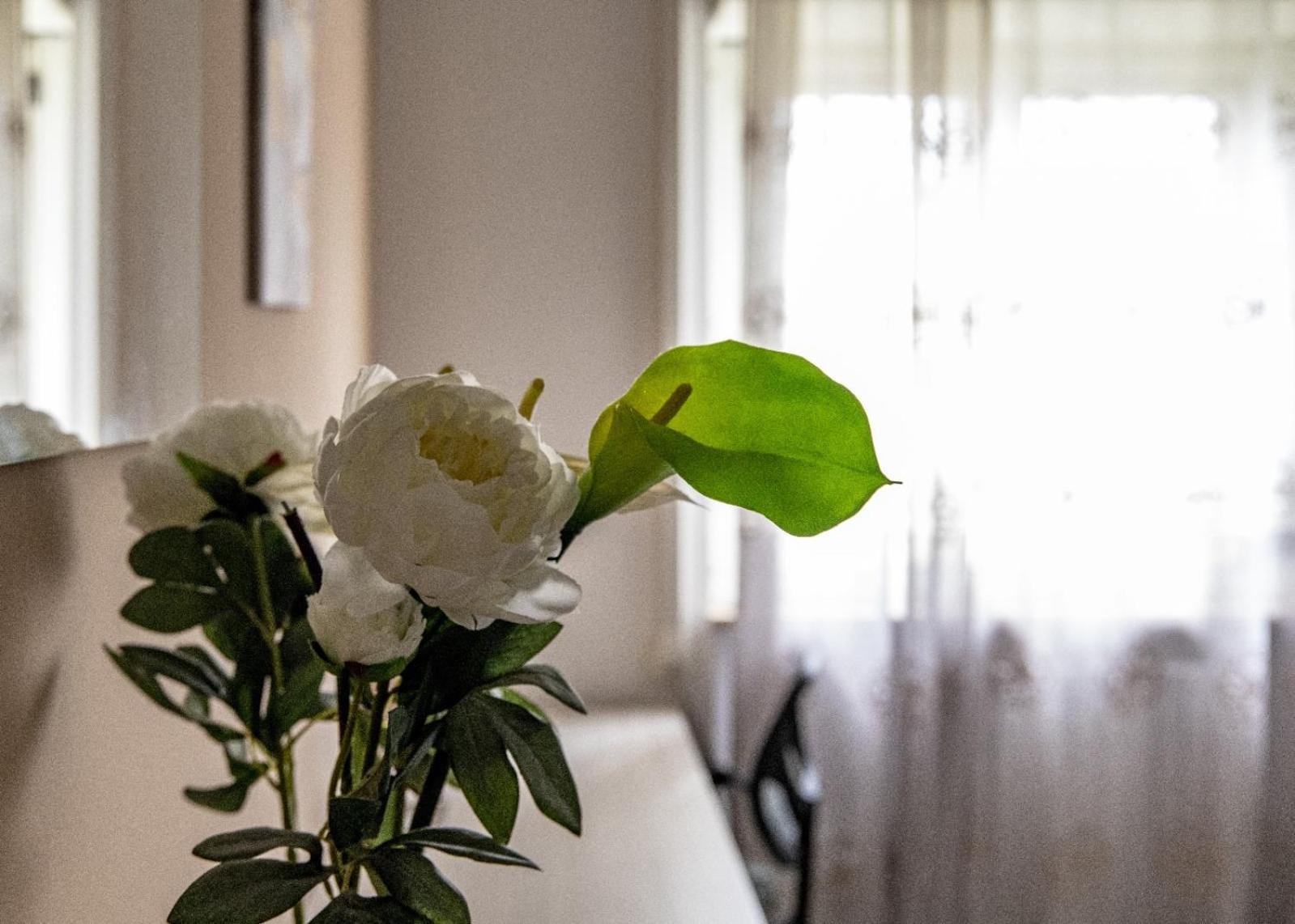 Appartement Madrigio... A Casa Propria à Casamassima Extérieur photo